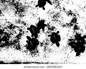 High contrast black and white vector silhouette of olive ridley sea turtle hatchlings swimming in a rehabilitation pool. Marine conservation graphic art stencil.