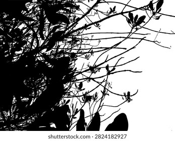 High contrast black and white vector silhouette of mangrove leaves and tree branches looking up against the bright sky.