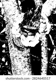 High contrast black and white vector silhouette of bracket fungus growing on a dry tree knot.