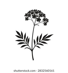A high contrast black and white vector silhouette of a wildflower featuring a delicate umbel flower head and feathery fern like leaves on a simple stem.