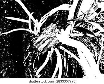 High contrast black and white vector illustration of an epiphytic orchid growing on a tree trunk.