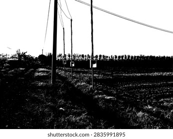 High contrast black and white vector illustration of utility poles along a dirt road in rural rice fields.