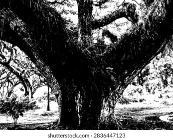 High contrast black and white vector illustration of a massive tree trunk with spreading branches and epiphytes.