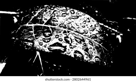High contrast black and white wet leaf texture vector illustration. Organic water droplets and leaf veins stencil overlay background for printing, packaging, and nature graphic design.