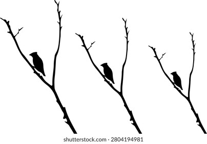 A high contrast graphic featuring the black silhouettes of three small birds resting on separate thin, bare tree branches against a plain white