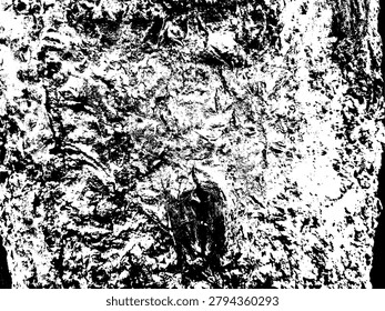 High contrast grunge stencil vector of a moringa oleifera tree bark texture. Black and white organic herbal wood rind pattern, abstract rough timber lumber background.
