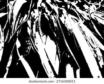 High contrast monochrome vector illustration of weathered coconut leaf texture. Abstract organic line art for rustic backgrounds and grunge designs.