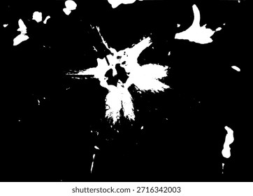 Kontrastreiche monochrome Vektorgrafik der Adeniumblume. Künstlerische Blumensilhouette mit Wassertropfen Details für modernes Grafikdesign.