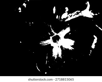 Kontrastreiche monochrome Vektorgrafik der Adeniumblume. Künstlerische Blumensilhouette mit Wassertropfen Details für modernes Grafikdesign.