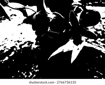 High contrast monochrome vector of an orchid blooming on a tree trunk. Detailed black and white botanical silhouette of epiphytic flora, ideal for minimalist nature art and graphic design.