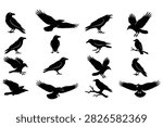 High contrast set of 16 raven and crow vector silhouettes featuring various flying poses, perched ravens on branches, spreading wings, and calling bird postures.
