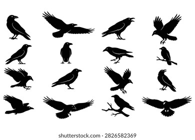 High contrast set of 16 raven and crow vector silhouettes featuring various flying poses, perched ravens on branches, spreading wings, and calling bird postures.