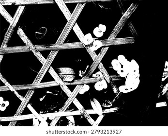 High contrast silhouette vector of traditional bamboo wicker fence with euphorbia flowers. Hexagonal weave pattern illustration, rustic tropical botanical grunge backdrop in monochrome EPS.
