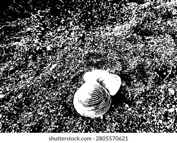 High contrast stencil illustration of bivalve seashells on coarse beach sand. Abstract grunge vector pattern of ocean clam shell on coast graphic.