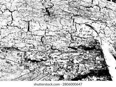 High contrast stencil illustration of dry leaf on textured tree bark background. Abstract grunge vector pattern of weathered wood cracks and dry foliage graphic.