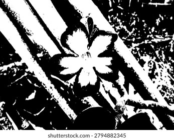 High contrast stencil vector of an adenium obesum flower. Black and white desert rose blossom illustration with industrial diagonal bamboo poles background pattern.