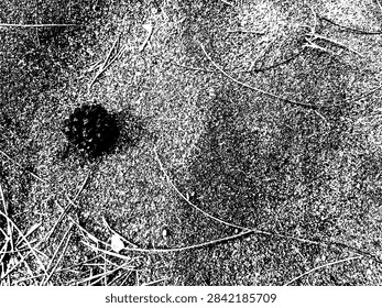 High contrast top-down vector illustration of a pine cone and fallen needles scattered on a textured beach sand surface.