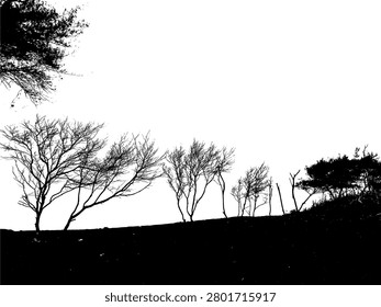 High contrast vector illustration of coastal trees on a beach shore. Minimalist monochrome stencil design element for surf apparel prints and tropical beach landscape background with copy space.