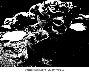 High contrast vector silhouette of wild cup fungi on a log. Minimalist black and white ascomycota mushroom group illustration isolated on black.
