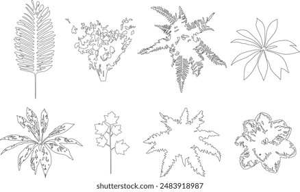 High detail architectural vector illustration of grass and fern, realistic drawing, sketch