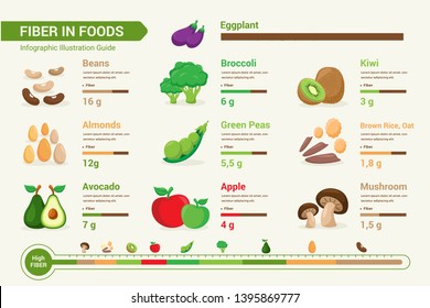 High Detail Fiber In Foods Infographic Chart Composition Poster Illustration, Suitable For Education, Presentation, Print and Other Related Occasion