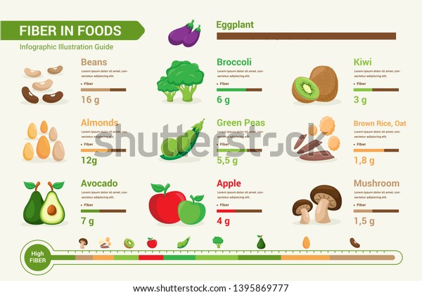 High Detail Fiber Foods Infographic Chart Stock Image ...
