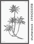 High detail hand drawn vector illustration of palm trees, realistic drawing of oasis, sketch