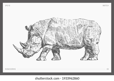 High detail hand drawn vector illustration of rhinoceros, realistic drawing, sketch