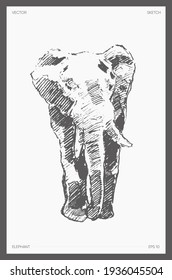 19,655 Elephant line drawing Images, Stock Photos & Vectors | Shutterstock