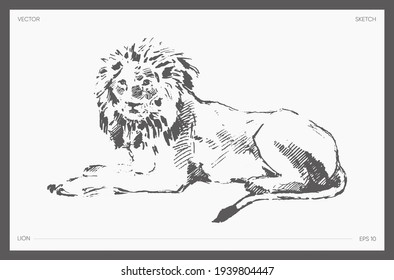 Ilustración vectorial de alto detalle, dibujante realista, boceto