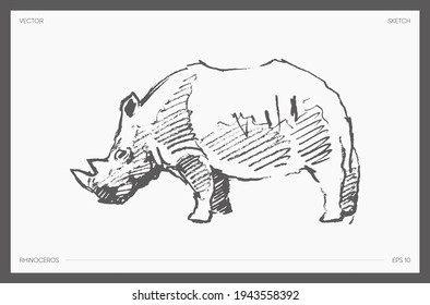 High detail hand drawn vector illustration of rhinoceros, realistic drawing, sketch