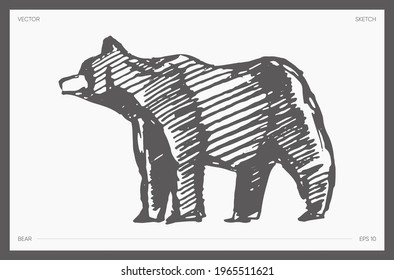 Ilustración vectorial de gran detalle dibujada a mano del oso pardo, dibujo realista, boceto