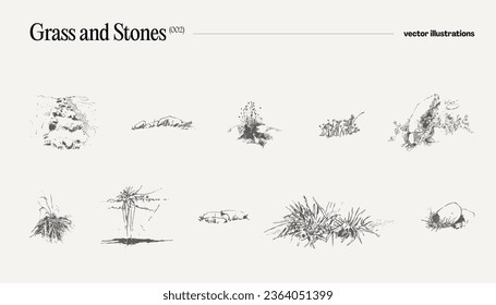 High detail hand drawn vector illustration of grass and stones, realistic drawing, sketch