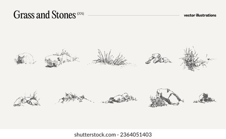 High detail hand drawn vector illustration of grass and stones, realistic drawing, sketch