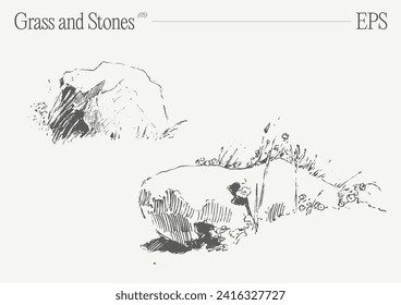 Ilustración vectorial de alto detalle, dibujado a mano, de césped y piedras, dibujo realista, esbozo