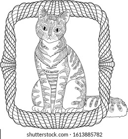 High detail patterned cat in tracery style. Adult coloring page for anti stress art therapy with domestic animal. Vector illustration.