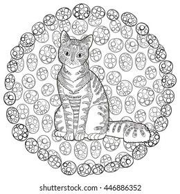 High detail patterned cat in zentangle style. Adult coloring page for anti stress art therapy with domestic animal. Template with cute pet for t-shirt, tattoo, poster or logo. Vector illustration.