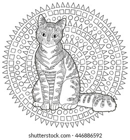 High detail patterned cat in zentangle style. Adult coloring page for anti stress art therapy with domestic animal. Template with cute pet for t-shirt, tattoo, poster or logo. Vector illustration.