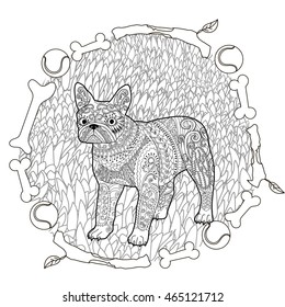 High detail patterned French bulldog in zentangle style  Adult coloring page and dog for antistress art therapy  Zendoodle template for t  shirt  tattoo  poster logo  Vector illustration 