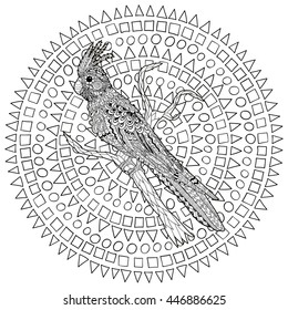 High detail patterned illustration in zen tangle style. Adult coloring page for antistress art therapy. Parrot corella on the branch. Template for t-shirt, tattoo, poster or logo. Vector illustration.