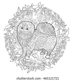 High detail patterned Pomeranian dog in zentangle style. Adult coloring page with a dog for antistress art therapy. Zendoodle template for t-shirt, tattoo, poster or logo. Vector illustration.