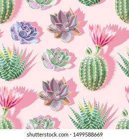 High Detail Succulent And Cactus Seamless Pattern