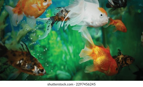 High detail vector goldfish swimming in the aquarium with clear water, looks very cute and very beautiful illustration