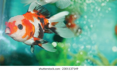 High detail vector goldfish swimming in the aquarium with clear water, looks very cute and very beautiful color illustration