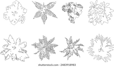 High detail vector illustration of grass, fern and plants. realistic drawing, sketch for architectural use