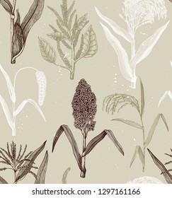 High detailed cereal crops background. Gluten free plants seamless pattern. Vector vegetables drawing in engraved style. Hand drawn vegetarian food objects. Great for packaging, menu, label.