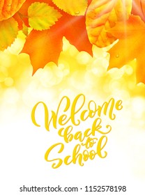 High detailed design template for school theme. Realistic leafes and handdrawn lettering Welcome back to school. Vector illustration.