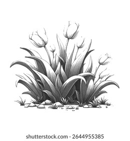 High detailed dotted design of a tulip flower bed isolated on white background