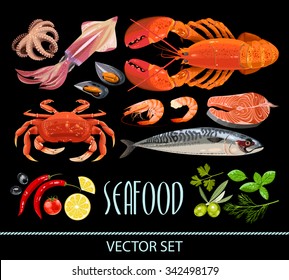 High detailed fresh seafood and different spices vector set