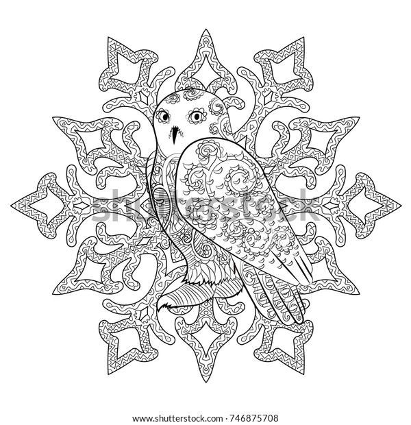 High Detailed Illustration Snowy Owl Zentangle Stock Vector Royalty Free 746875708